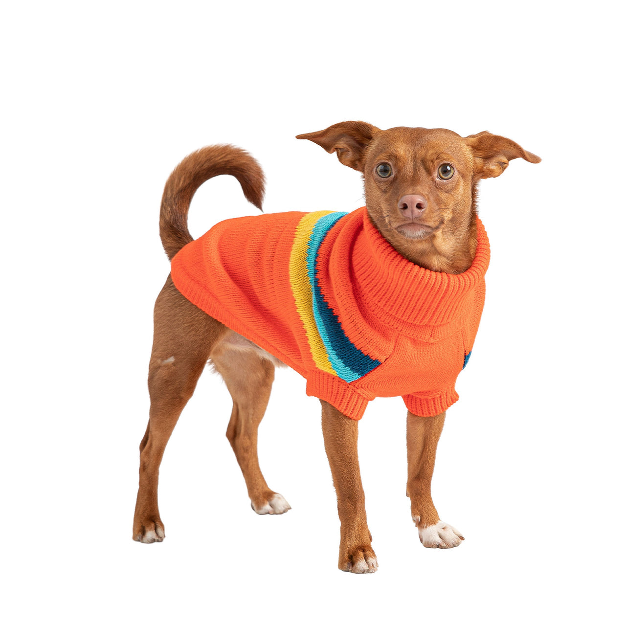 Alpine Sweater - Orange - 9 SIZES - 1 COLOR -