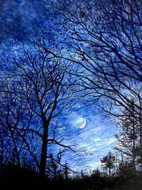 Thumbnail for Venus Over Crescent Moon: Prints - 4 SIZES OR SET OF(6) 5