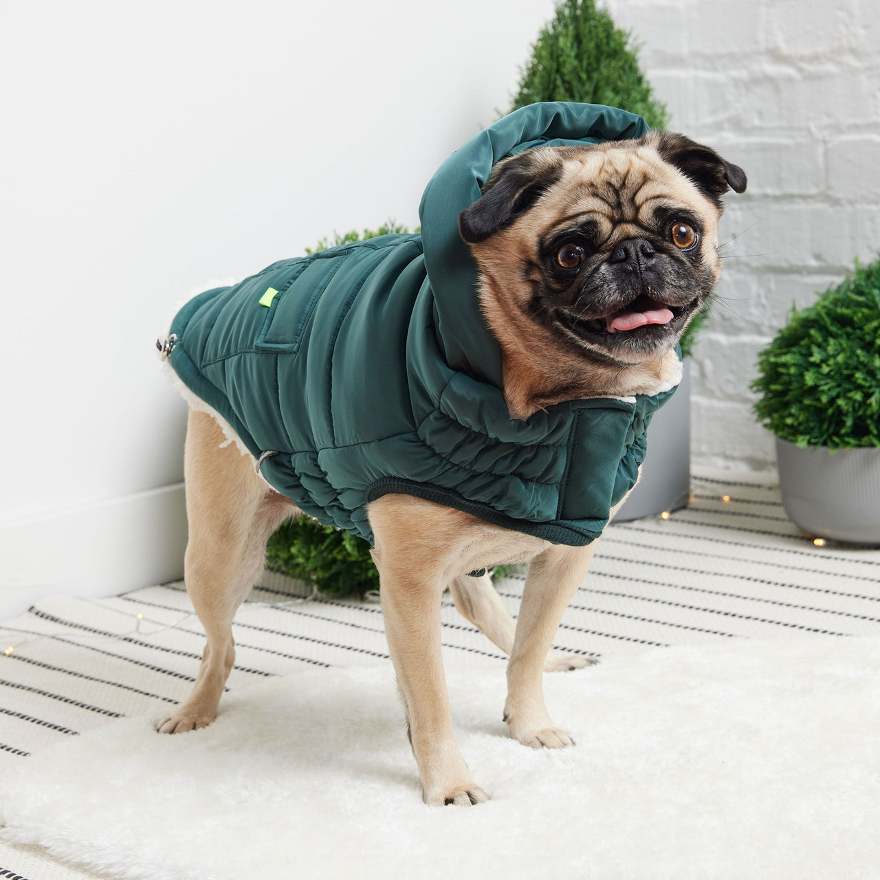 Super Puff Parka - Teal - 9 SIZES - 1 COLOR -