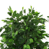 Thumbnail for Artificial Ficus Tree 180cm Nearly Natural UV Resistant -