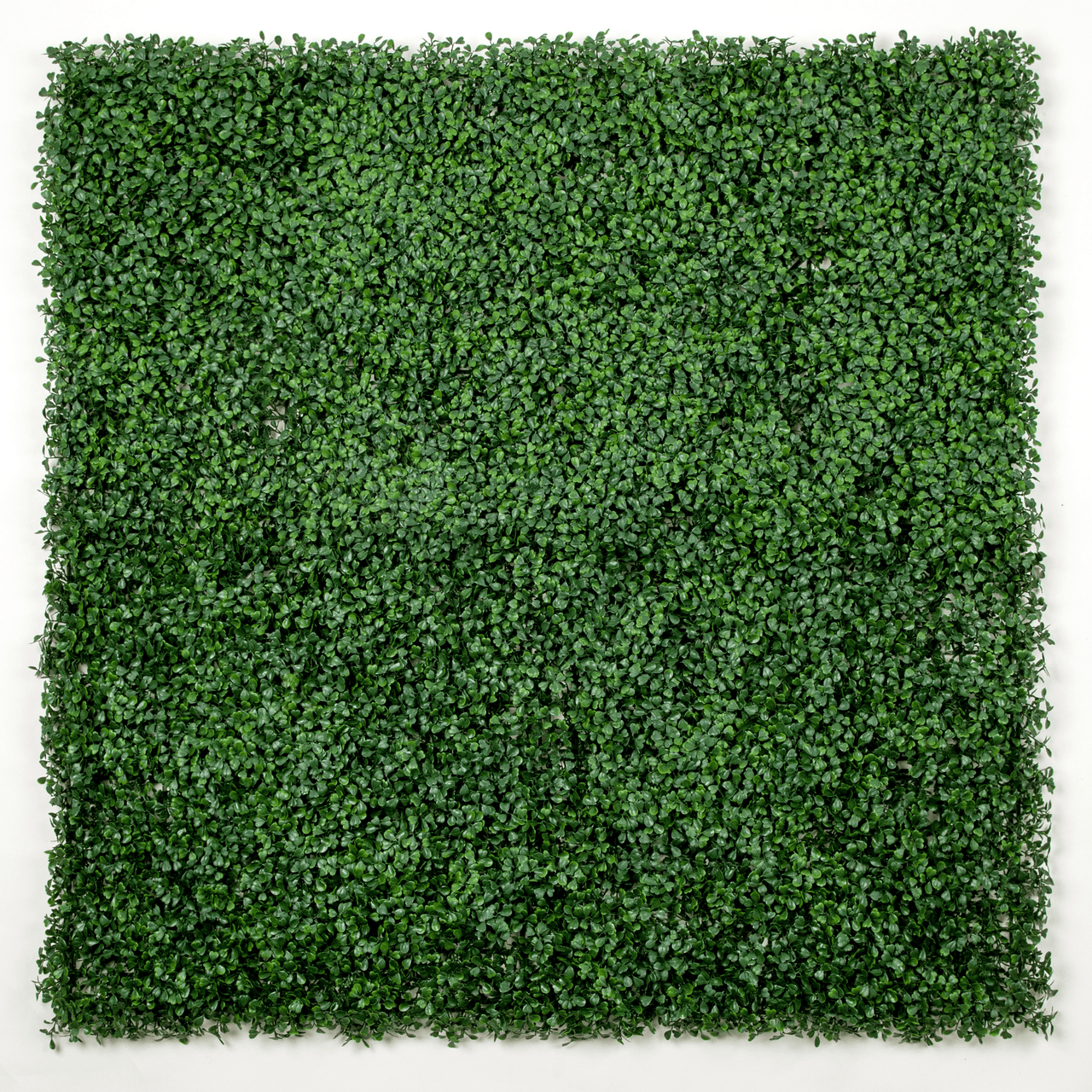 Dark Artificial Boxwood Wall 40" X 40" 11SQ FT -