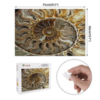 Thumbnail for OOTO - AMMONITE - PUZZLE_H2 Chipboard Jigsaw Puzzle (1000-Piece) -