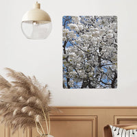 Thumbnail for OOTO - BLOSSOMS - HC_C76 Steel Metal Art Decor 12x16in (Vertical) -