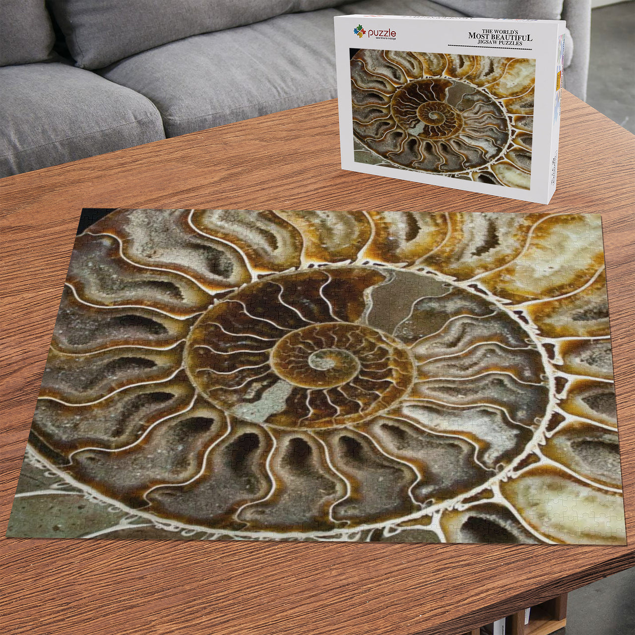 OOTO - AMMONITE - PUZZLE_H2 Chipboard Jigsaw Puzzle (1000-Piece) -