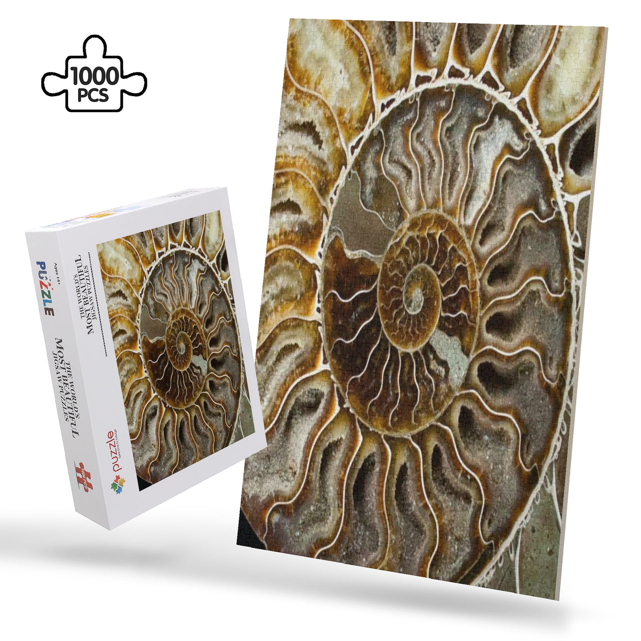 OOTO - AMMONITE - PUZZLE_H2 Chipboard Jigsaw Puzzle (1000-Piece) -