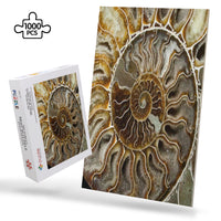 Thumbnail for OOTO - AMMONITE - PUZZLE_H2 Chipboard Jigsaw Puzzle (1000-Piece) -