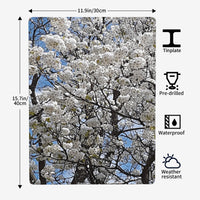 Thumbnail for OOTO - BLOSSOMS - HC_C76 Steel Metal Art Decor 12x16in (Vertical) -