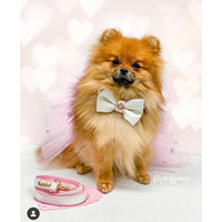 Thumbnail for Puccissime - My Baby Girl Bow Tie -