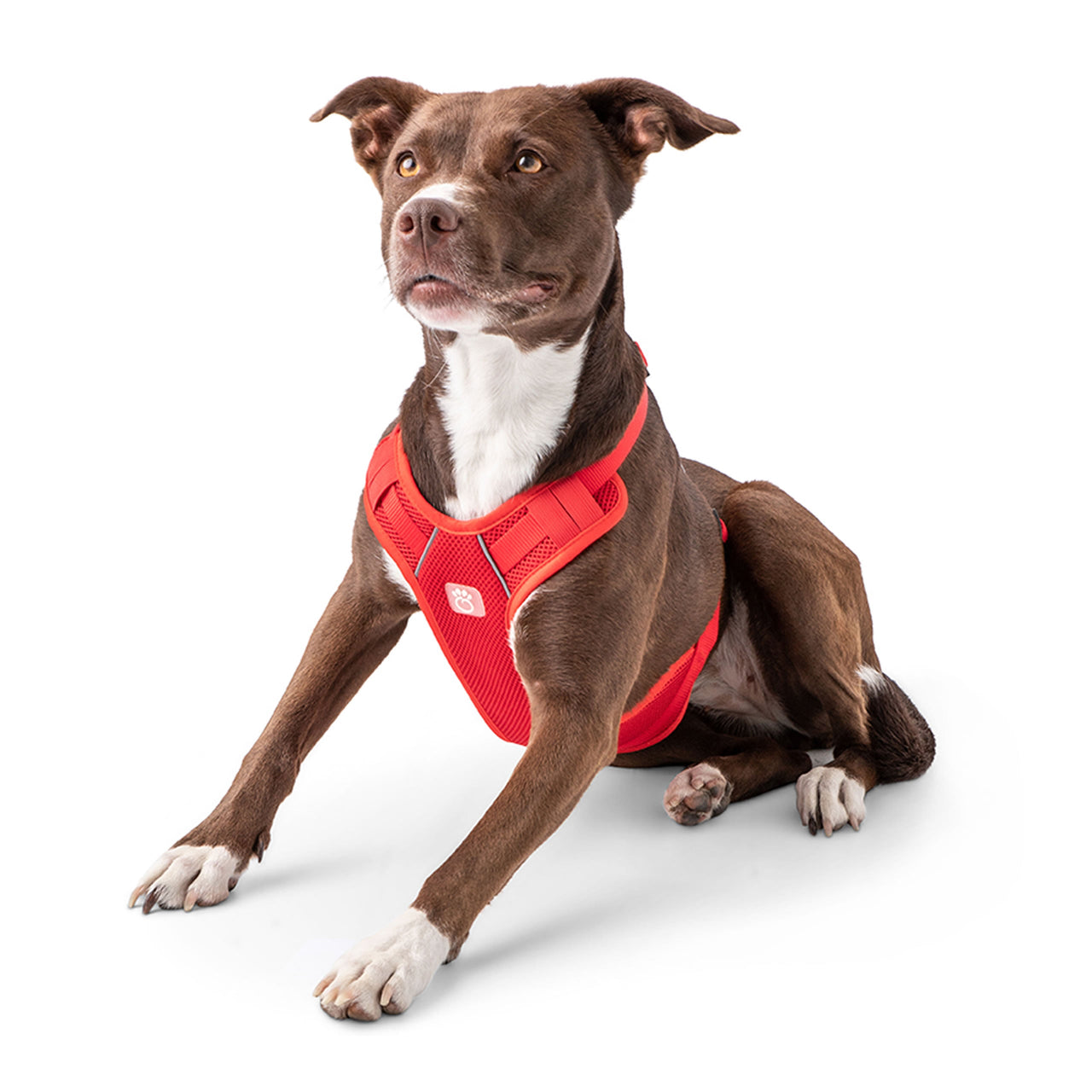 Travel Harness - Red - 6 SIZES -