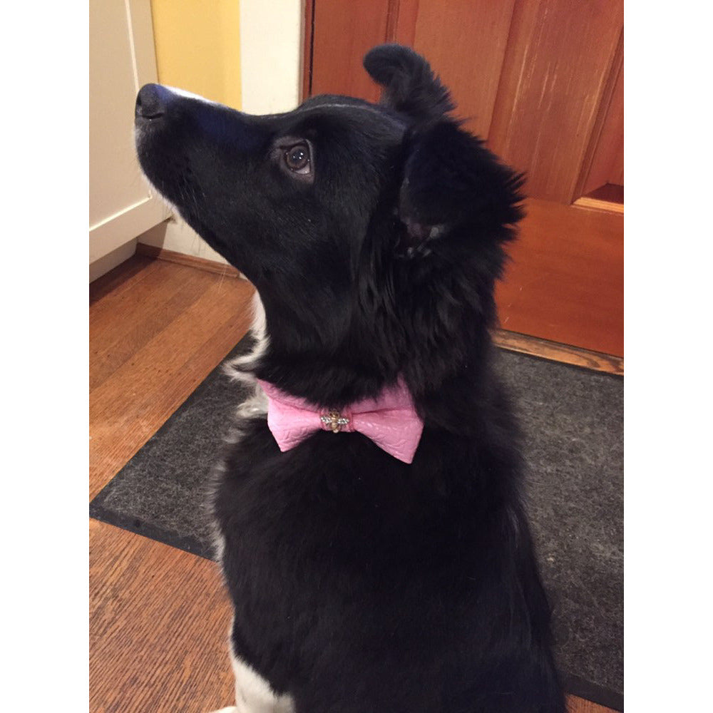 Puccissime - Rosie Bow Tie -