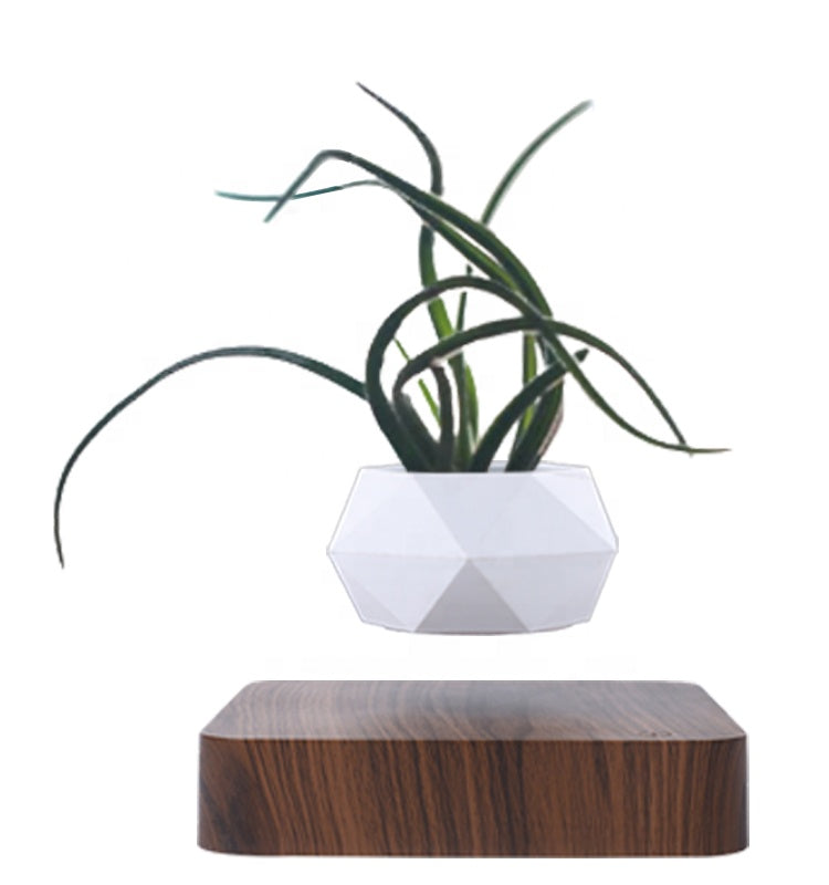 Magnetic Floating Plant - Hanging - Levitating Flower Pot - [5-15 DAY DELIVERY] - 2 STAND COLORS -