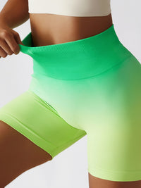 Thumbnail for Gradient Wide Waistband Slim Fit Sports Shorts - T - 9 COLORS -