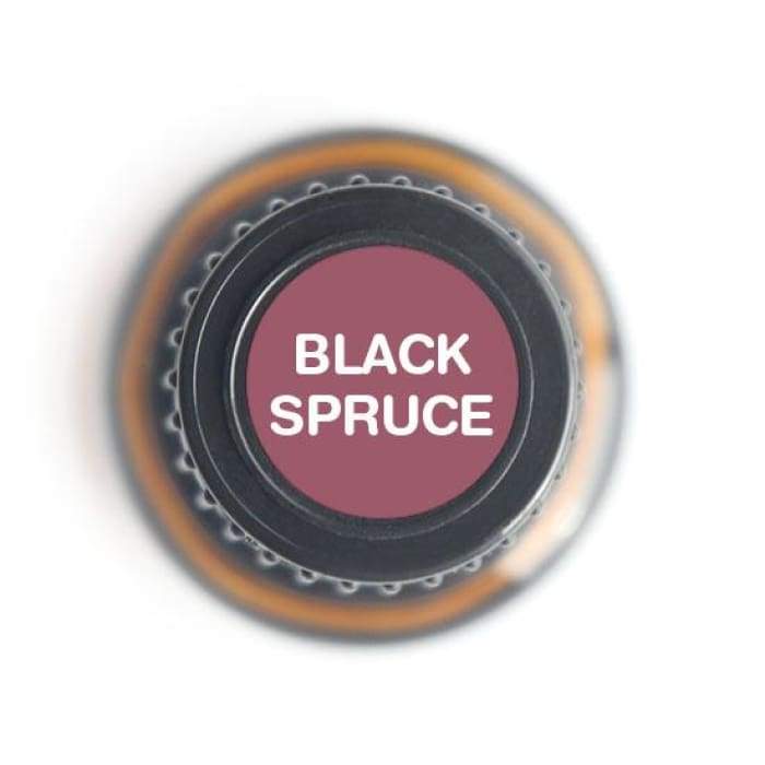 Black Spruce Pure Essential Oil - 15ml -