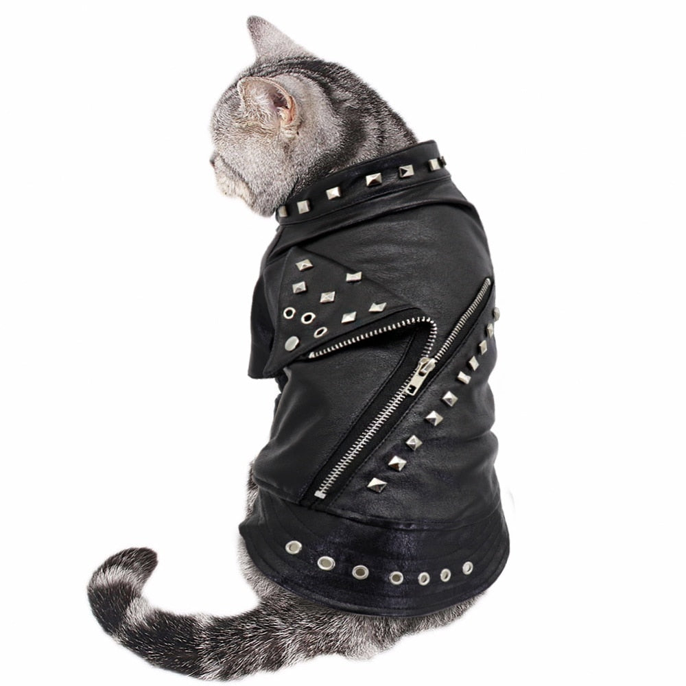 Dog Leather & Other styles Jacket / Coats - Warm Winter Pet Clothing Outfit - [23 DAY DELIVERY] - 6 SIZES / 7 STYLES / COLORS -