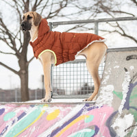 Thumbnail for Super Puff Parka - Hazel - 9 SIZES - 1 COLOR -