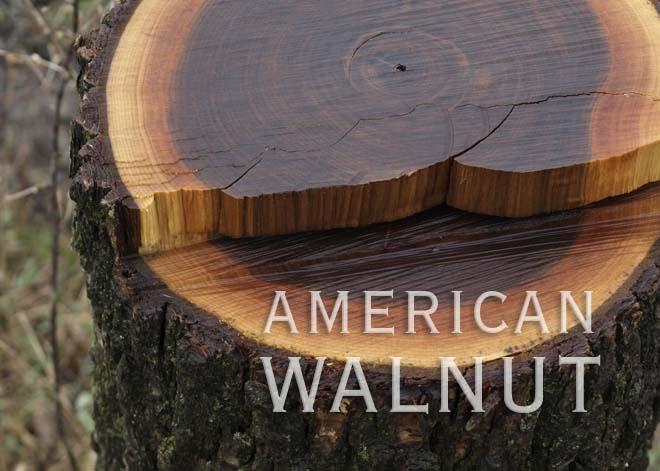 MMORE - American Walnut - LIMITED EDITION - FIND YOUR MODEL! -  42 AVAILABLE! -