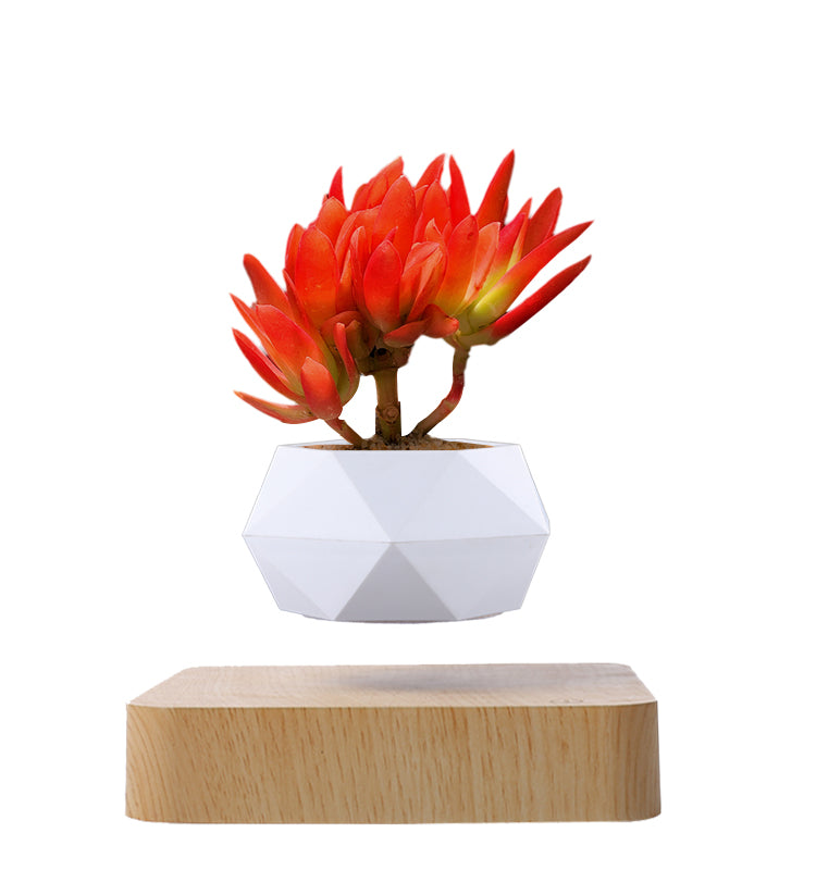 Magnetic Floating Plant - Hanging - Levitating Flower Pot - [5-15 DAY DELIVERY] - 2 STAND COLORS -