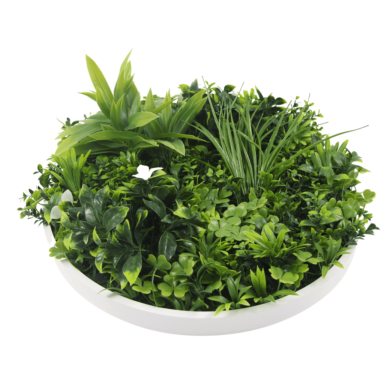 Luxury Artificial Green Wall Disc 30" White Frame UV Resistant