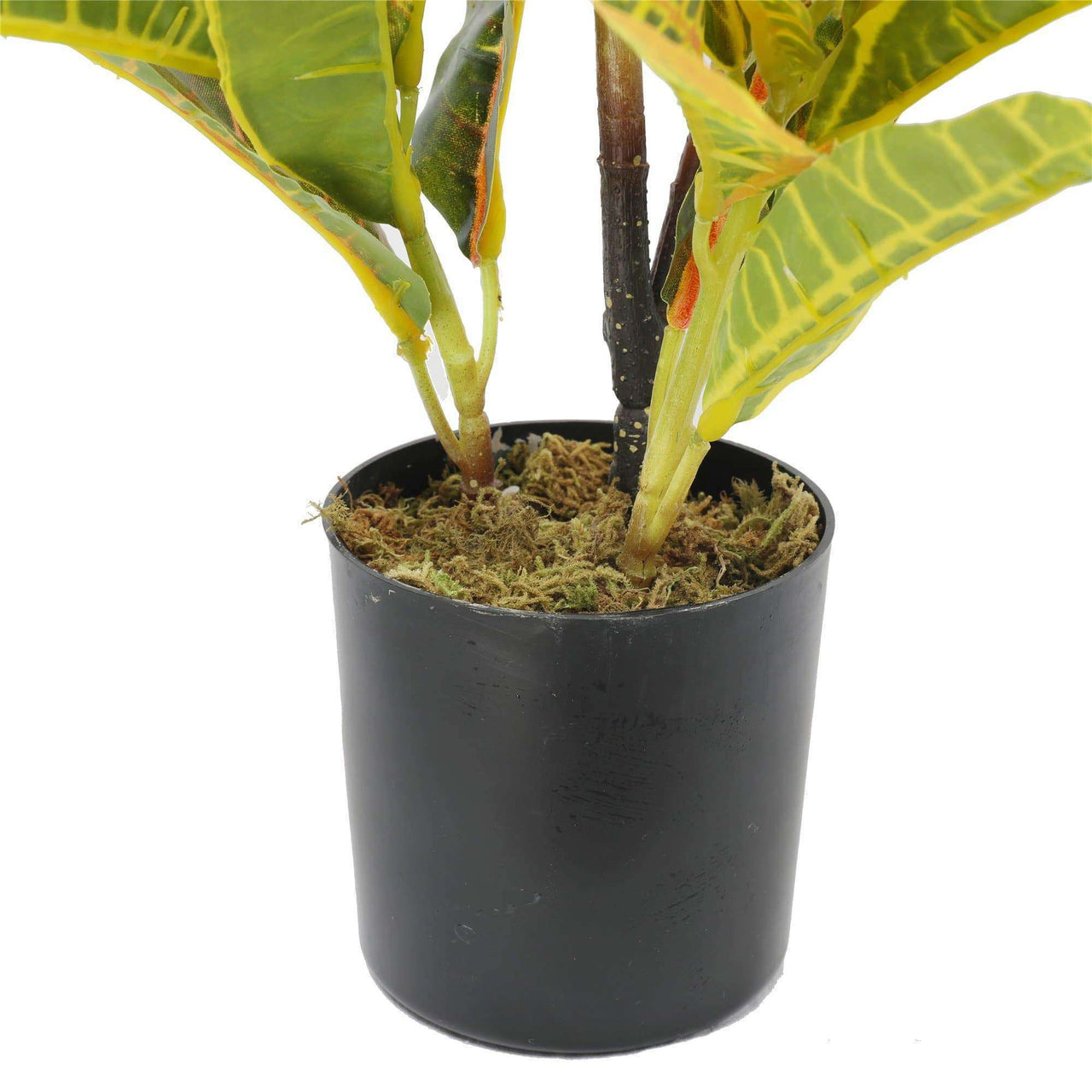 Artificial Potted Flaming Zebra (Codiaeum Variegatum / Crotons) 55cm -