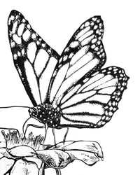 Thumbnail for Butterfly on Flower Wall Art Print - 3 SIZES -