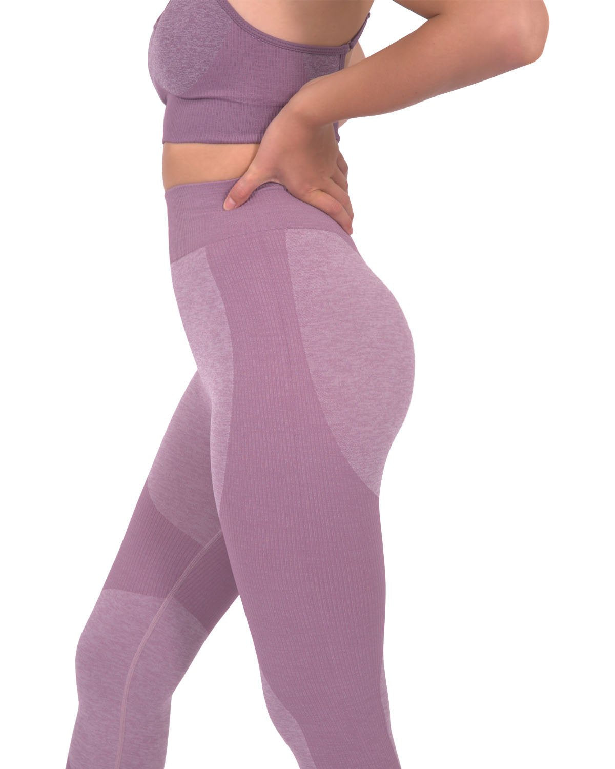 Savoy - Megara Seamless Legging With Striped Panels - Purple - 1 COLOR -