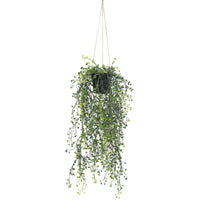 Thumbnail for Artificial Hanging Pearls (Potted) 56cm UV Resistant -