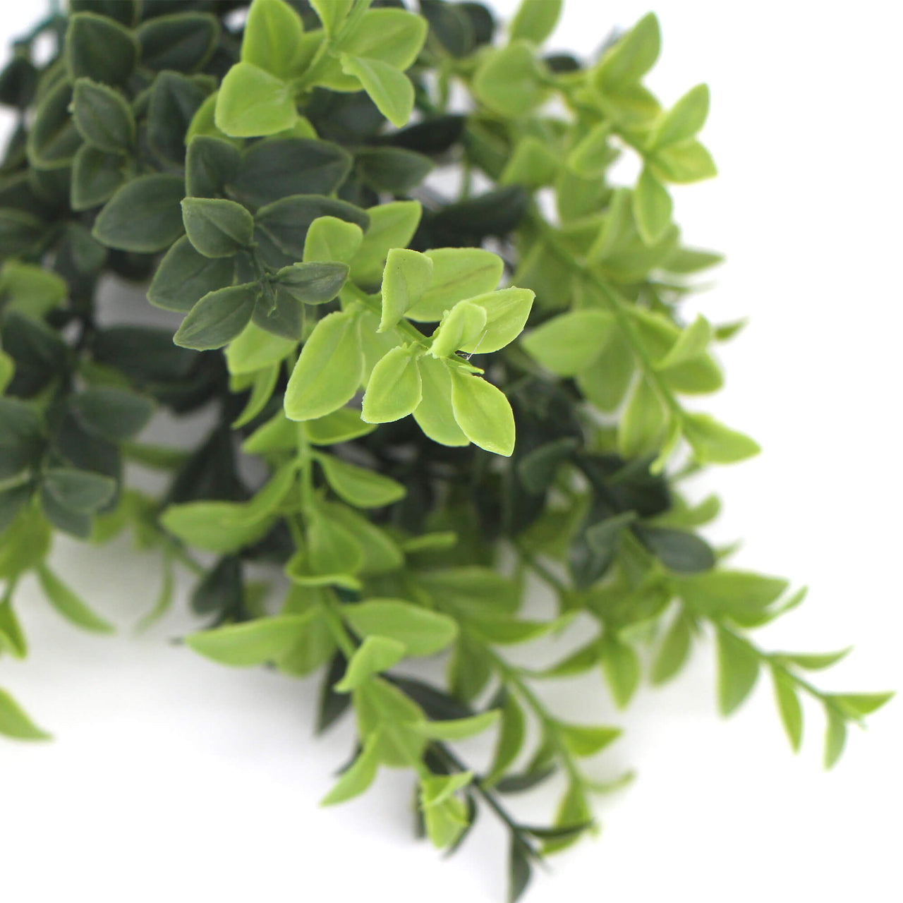 Artificial Rounded Boxwood Stem UV 30cm -