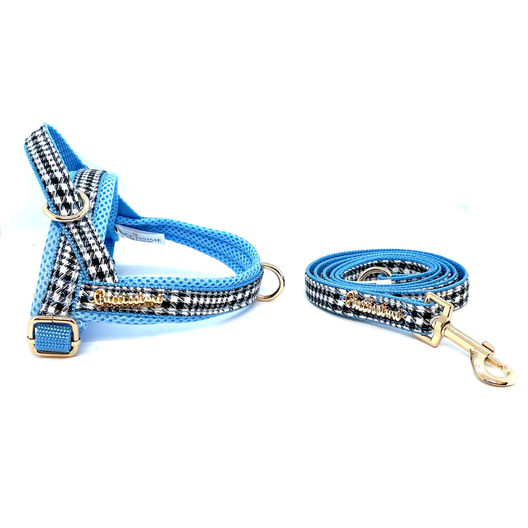 Puccissime - Prince Leash -