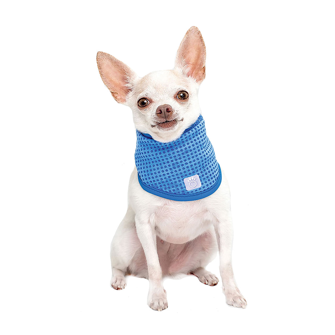 ICE BAND - Dog Cooling Bandana - 3 SIZES -