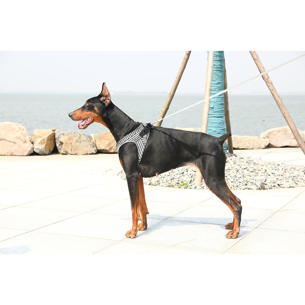 Instachew - PETKIT Air Fly Dog Harness - 4 SIZES -