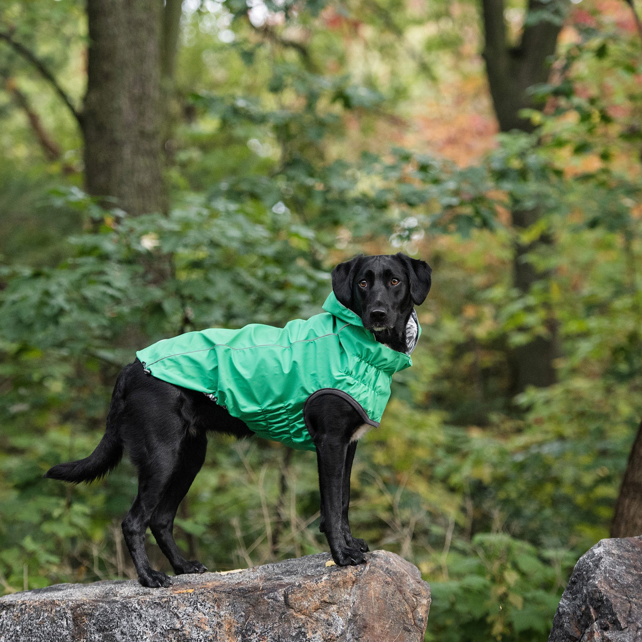 Reversible Elasto-Fit Raincoat - Green - 9 SIZES -