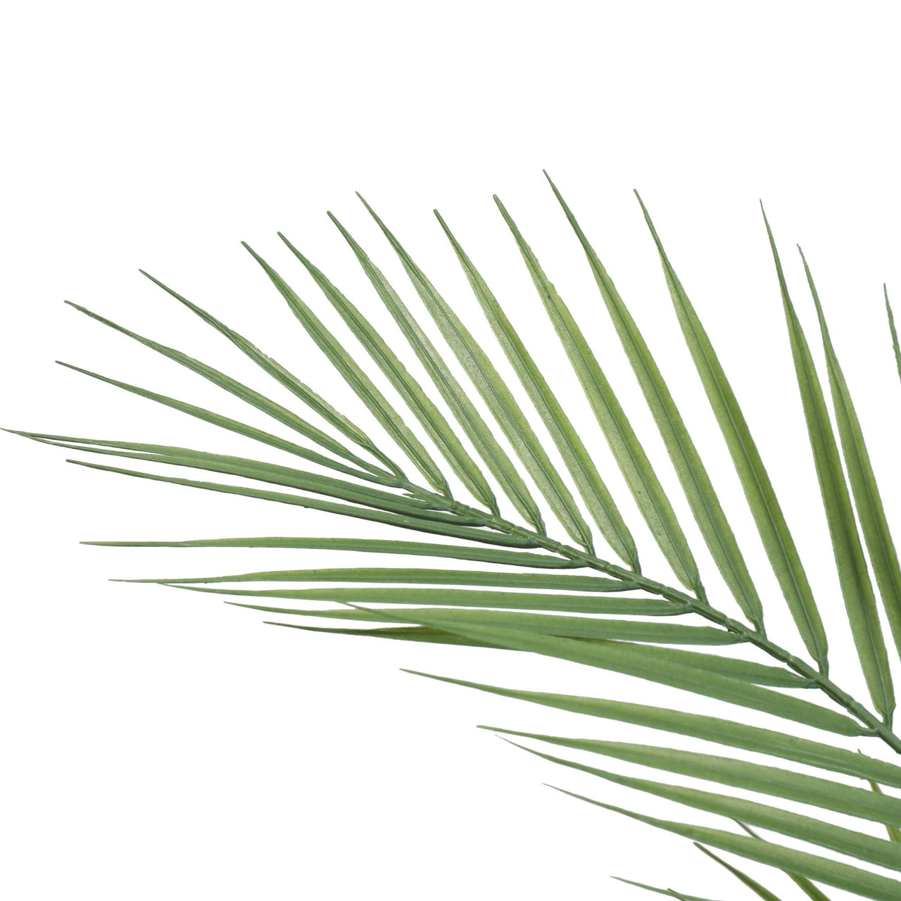 Artificial Phoenix Palm Plant 80cm -