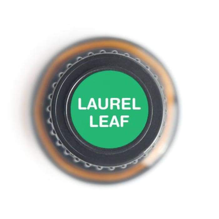 Laurel Leaf Pure Essential Oil - 15ml -