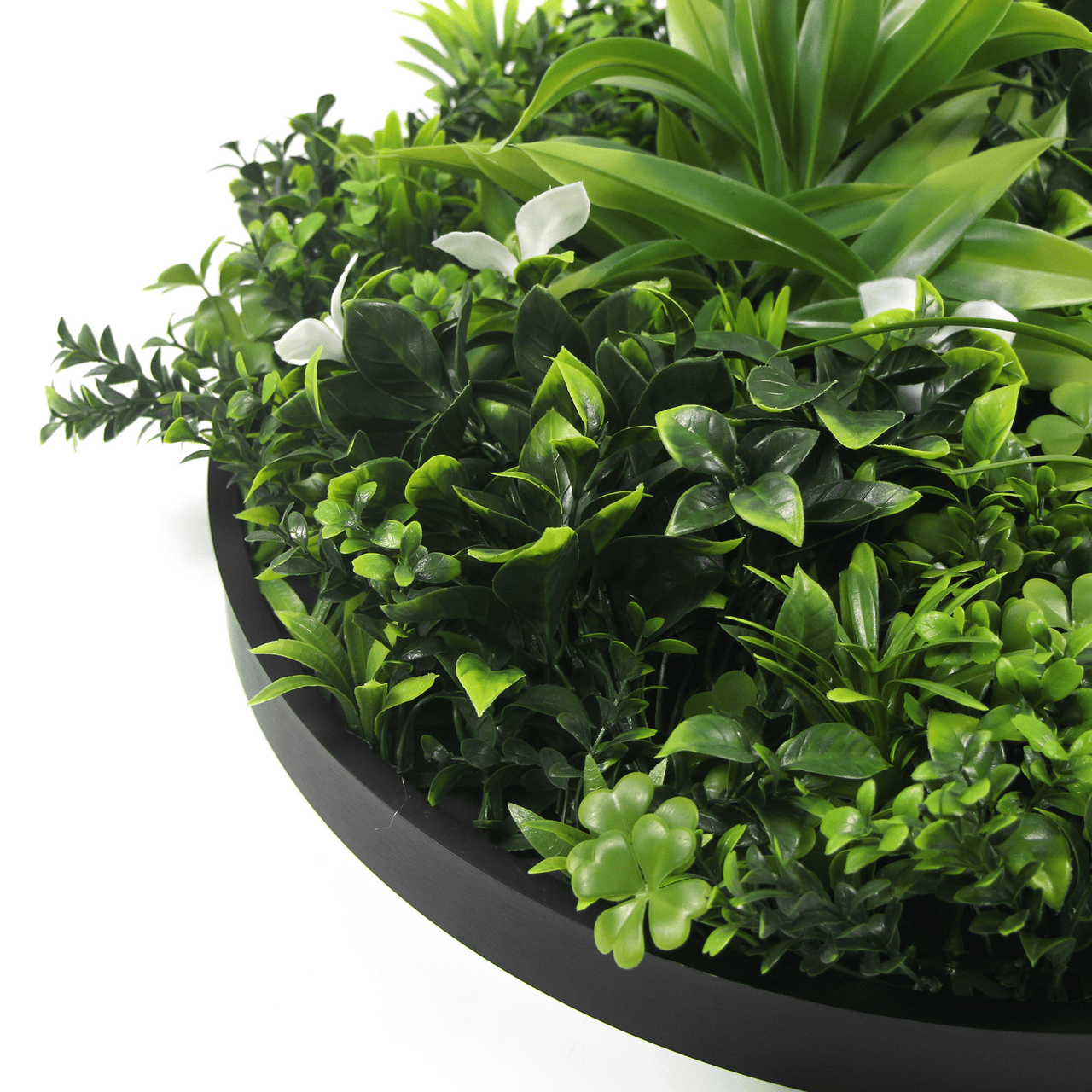 Luxury Artificial Green Wall Disc 30" Black Frame UV Resistant