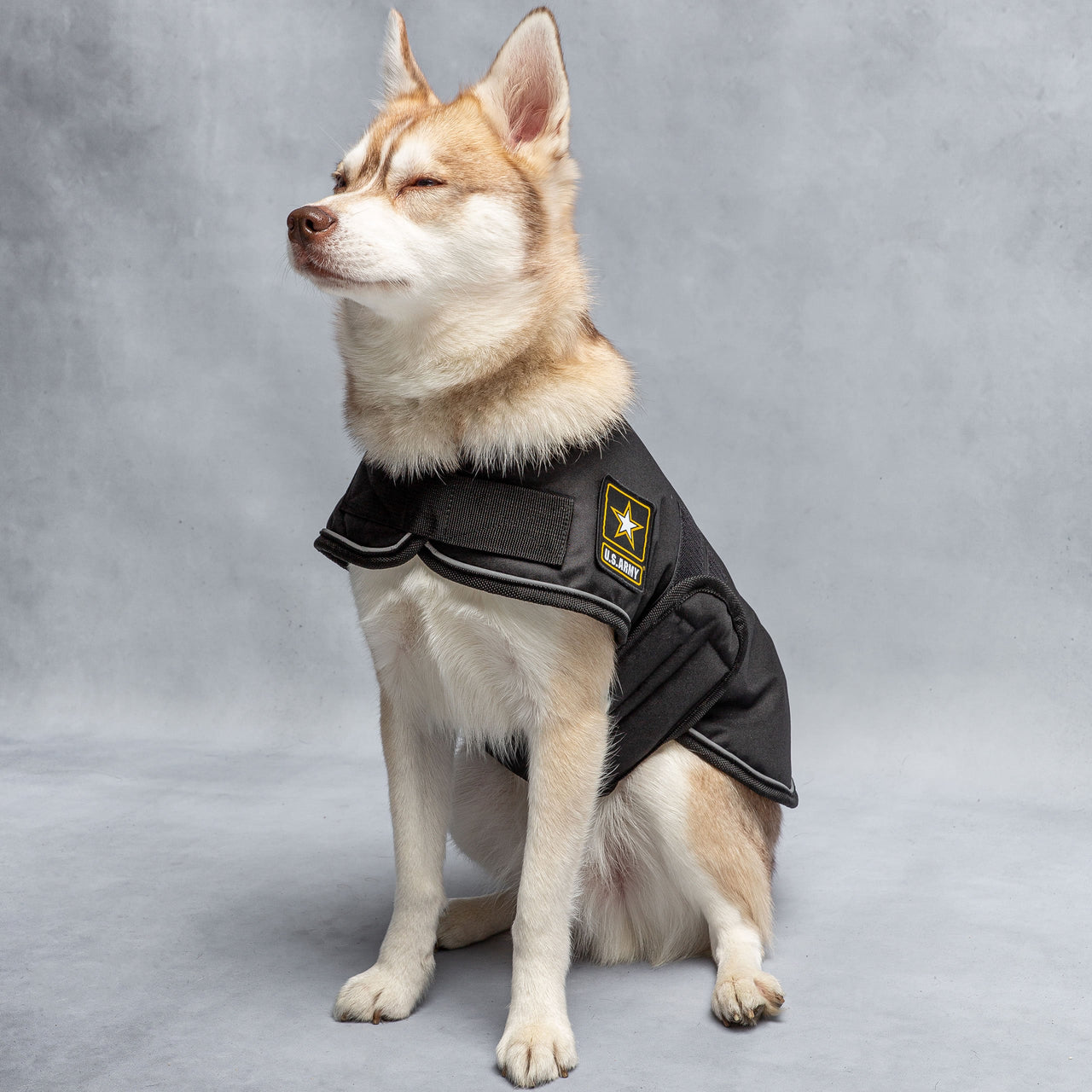 US Army Dog Blanket Jacket - Black - 5 SIZES -