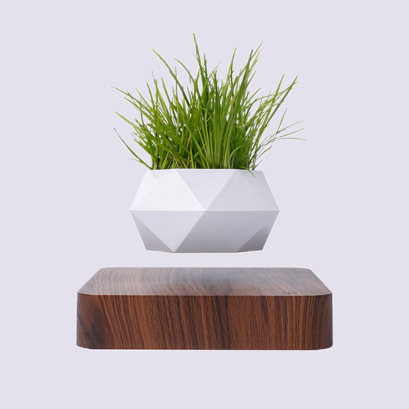 HCNT  New Design Magnetic Floating Levitating Flower Pot Plant Pot Bonsai - [13 DAY DELIVERY] -