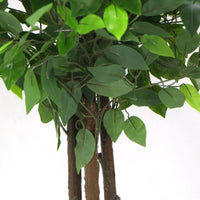 Thumbnail for Artificial Ficus Tree 180cm Nearly Natural UV Resistant -