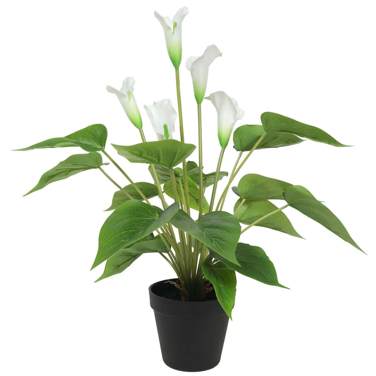 Artificial Flowering White Peace Lily / Calla Lily Plant 50cm -