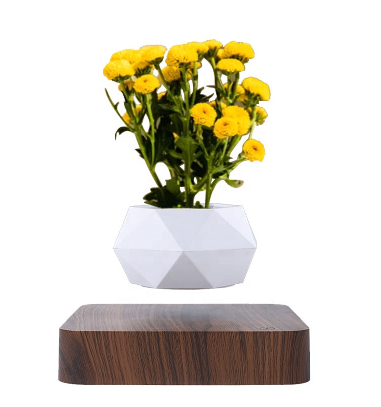 Magnetic Floating Plant - Hanging - Levitating Flower Pot - [5-15 DAY DELIVERY] - 2 STAND COLORS -