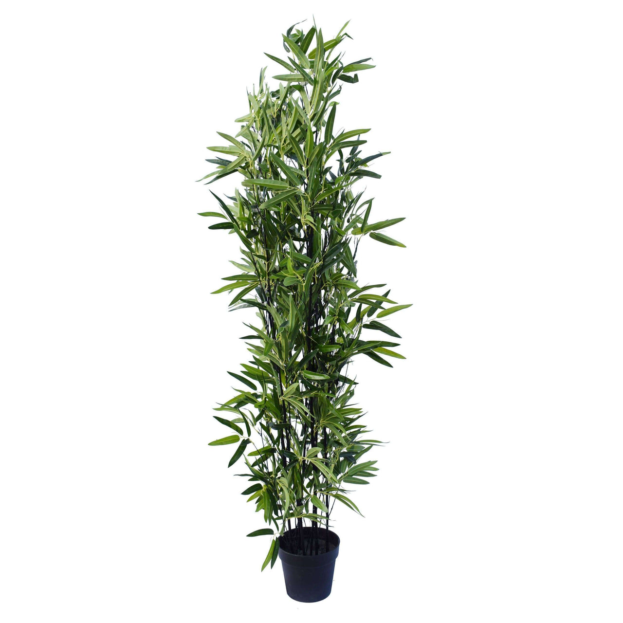 Artificial Bamboo Plant Black Bamboo 180cm Real Touch Leaves -