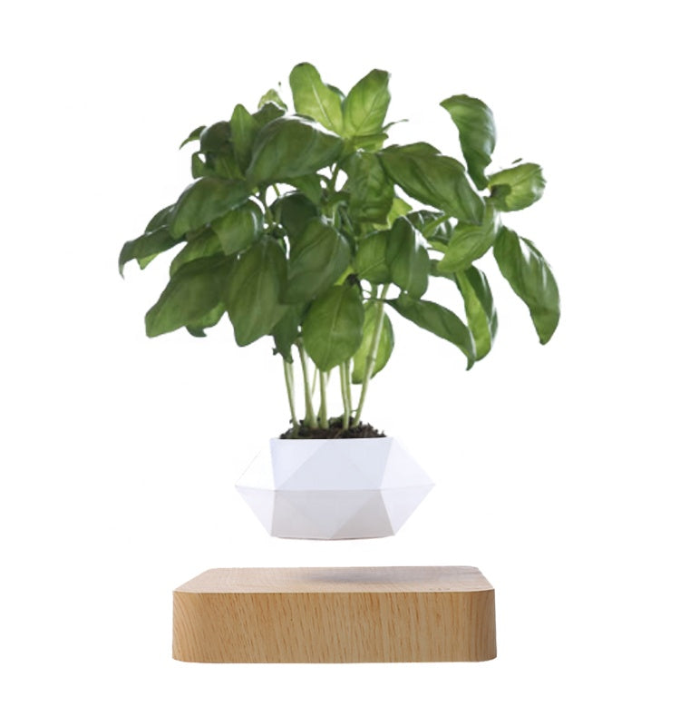 Magnetic Floating Plant - Hanging - Levitating Flower Pot - [5-15 DAY DELIVERY] - 2 STAND COLORS -