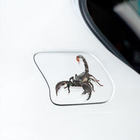 Thumbnail for 3D Spider Lizard Scorpion Car Sticker 3D Animal Pattern Vehicle Window Mirror Bumper Decal Decor Water-Resistant High Stickiness - [15 DAY DELIVERY] - 4 CRITTERS -