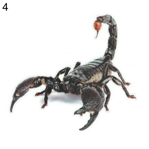 3D Spider Lizard Scorpion Car Sticker 3D Animal Pattern Vehicle Window Mirror Bumper Decal Decor Water-Resistant High Stickiness - [15 DAY DELIVERY] - 4 CRITTERS -