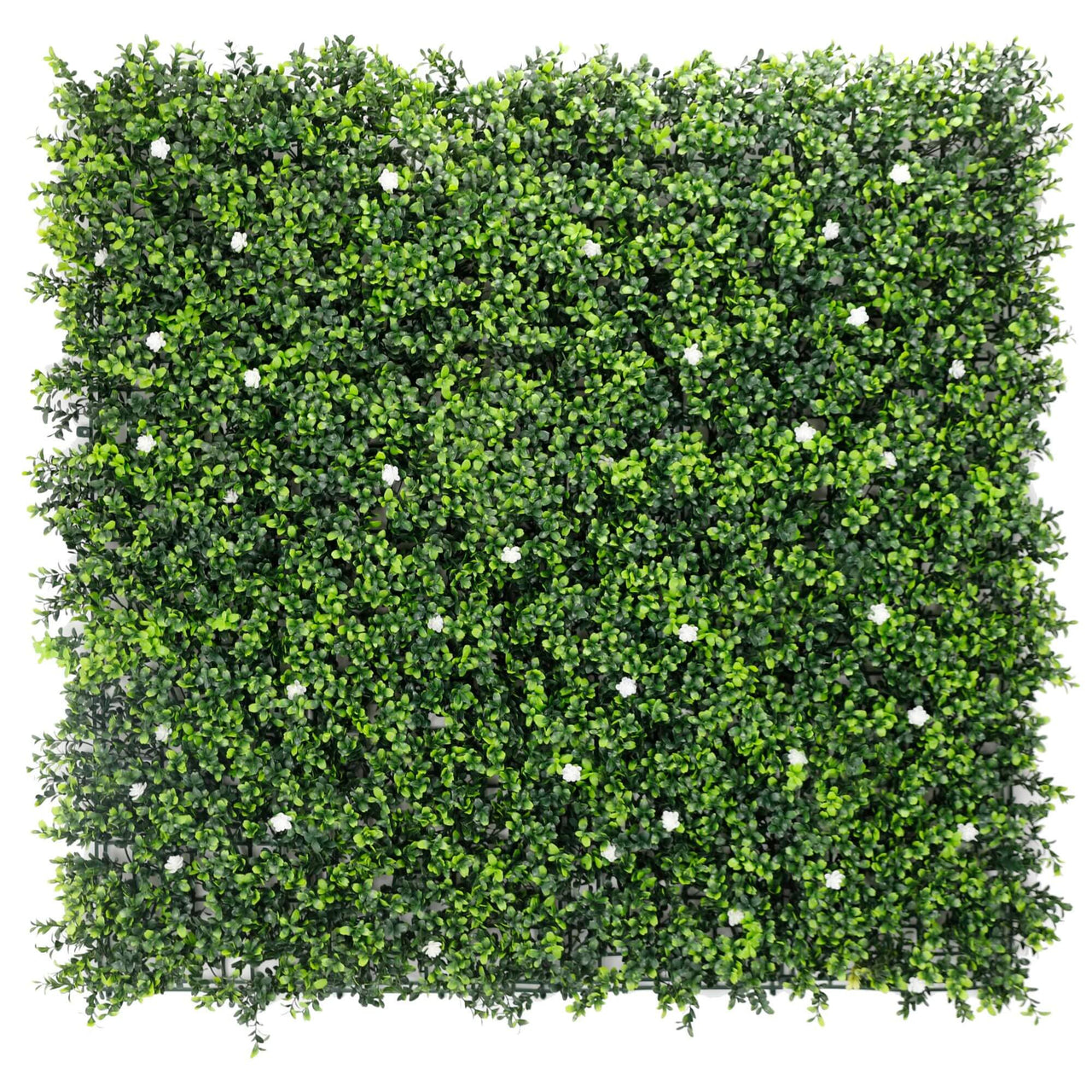 White Flowering Artificial Boxwood Wall 40" X 40" 11SQ FT -