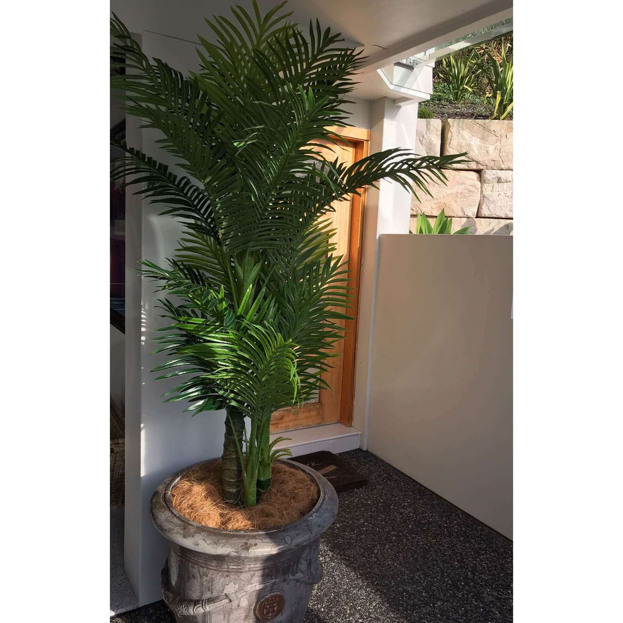 Artificial Hawaii Palm With Multiple Trunk & Long Leaves 180cm -