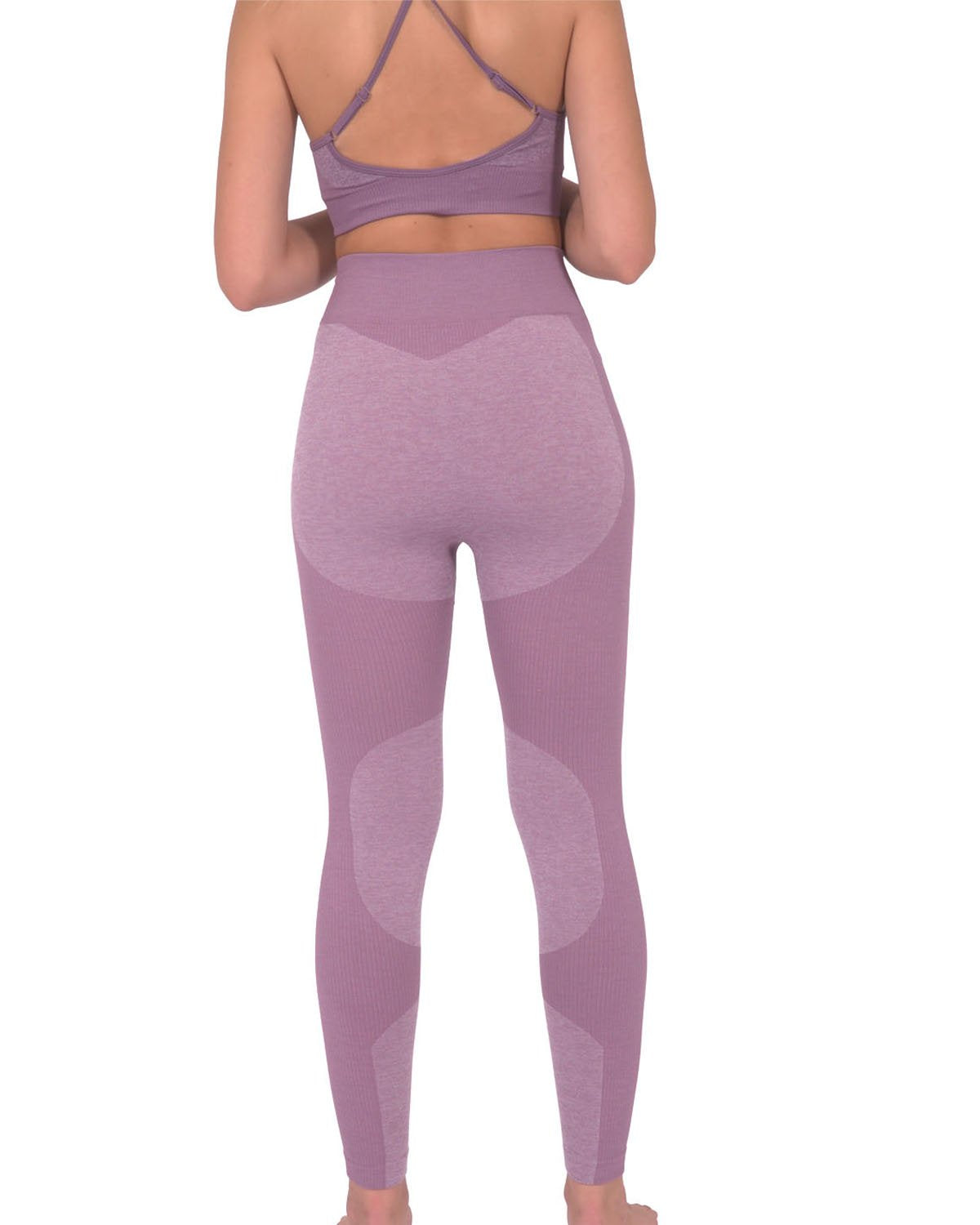 Savoy - Megara Seamless Legging With Striped Panels - Purple - 1 COLOR -