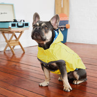 Thumbnail for Reversible Elasto-Fit Raincoat - Yellow/Blue - 9 SIZES -