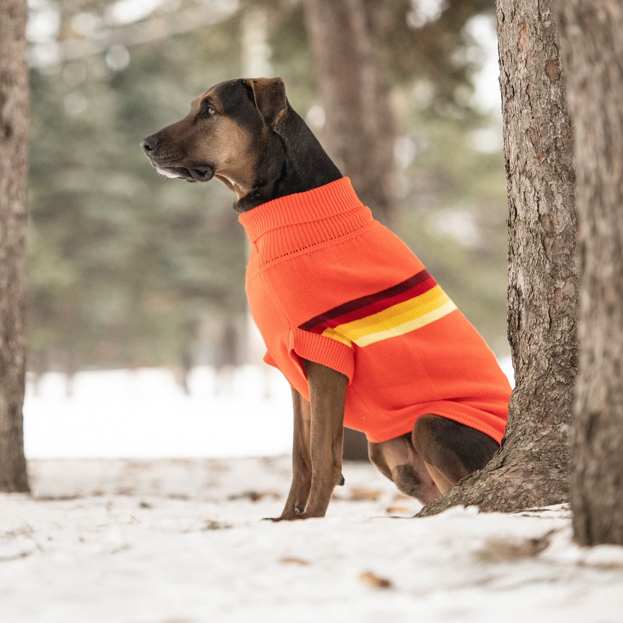 Retro Sweater - Orange - 9 SIZES - 1 COLOR -