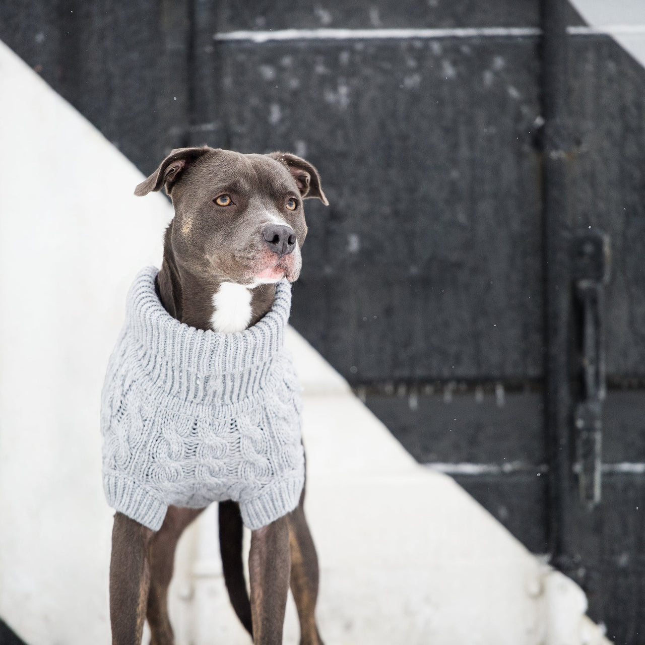 Chalet Dog Sweater - Grey - 10 SIZES -