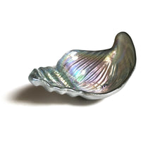 Thumbnail for Set/4 CONCH SHELL 5.5